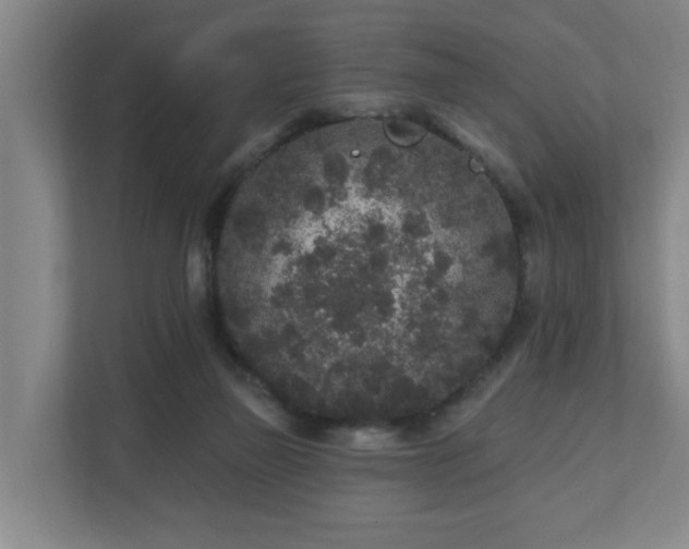 X0000110940165200906191238