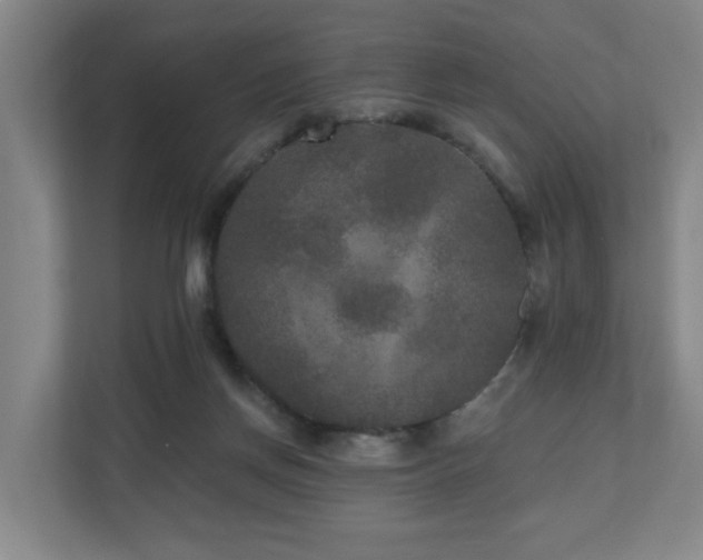 X0000110940166200906191238