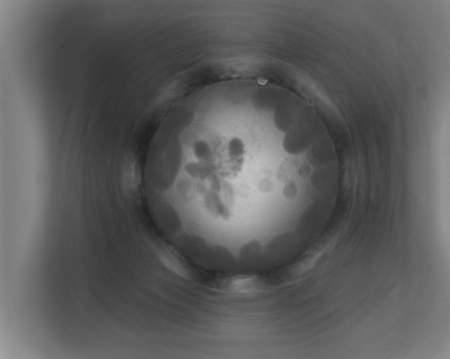 X0000110940173200906191238