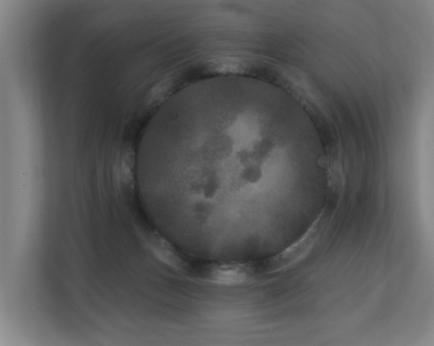 X0000110940175200906191238