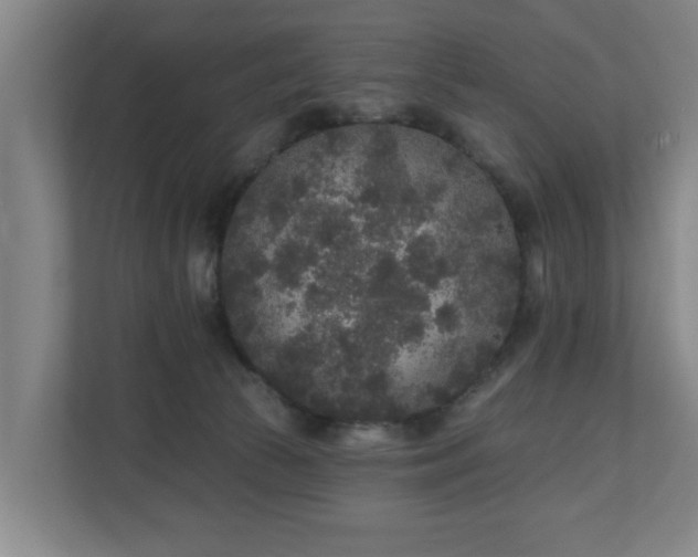 X0000110940177200906191238