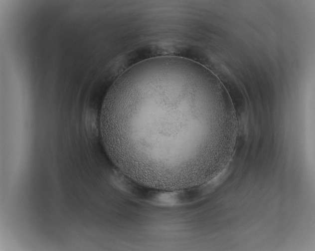 X0000110940178200906191238