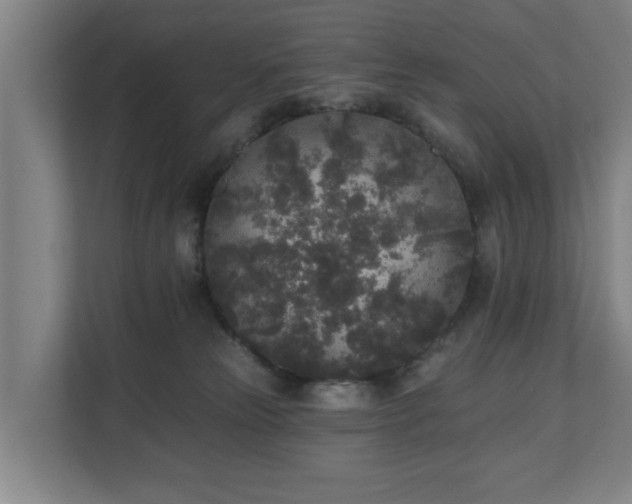 X0000110940181200906191238