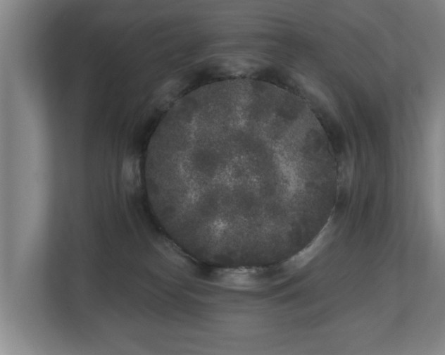 X0000110940182200906191238