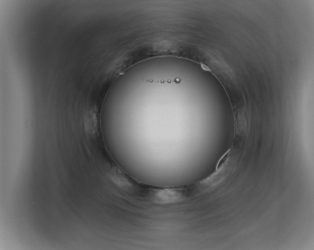 X0000110940183200906191238