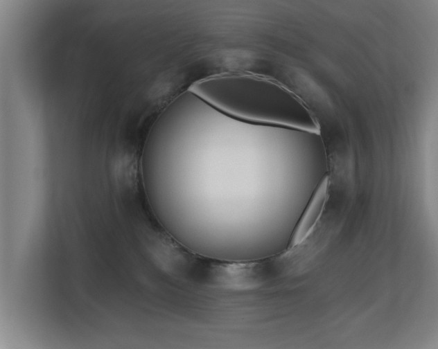 X0000110940184200906191238