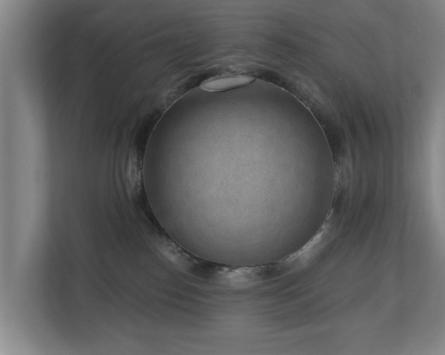 X0000110940186200906191238