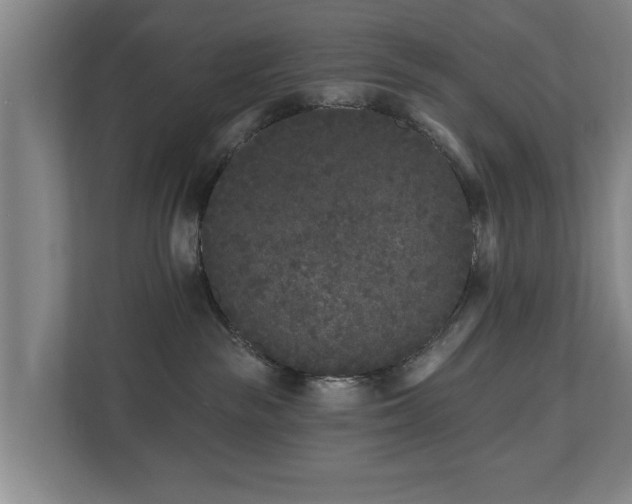 X0000110940189200906191238