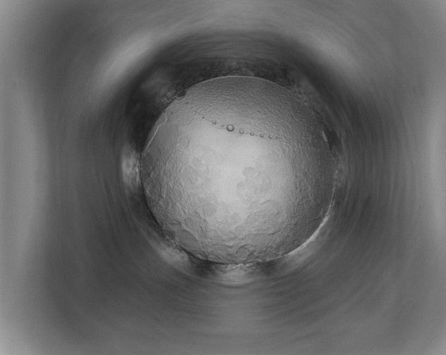 X0000110940191200906191238