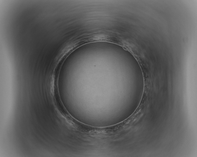 X0000110940194200906191237