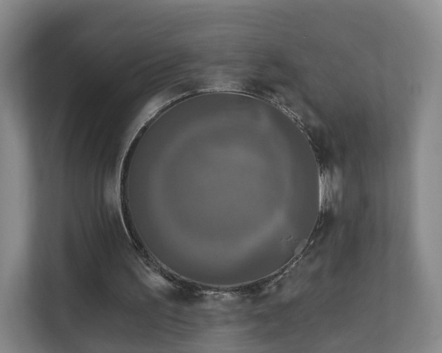 X0000110940195200906191237