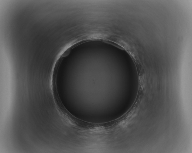 X0000110940196200906191237