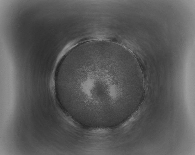 X0000110940198200906191237