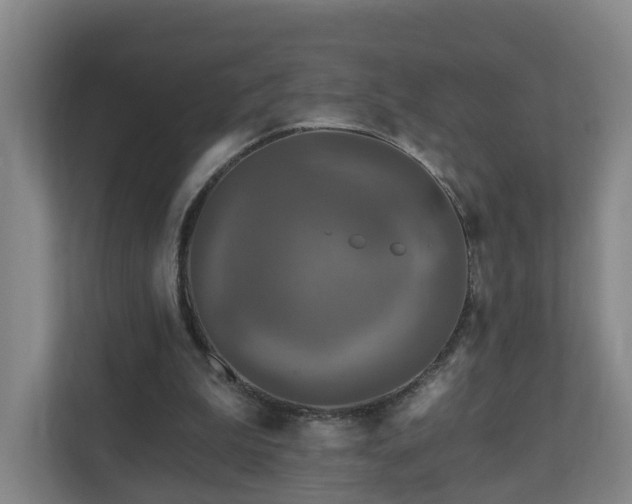 X0000110940199200906191237