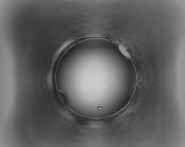 X0000110940200200906191237