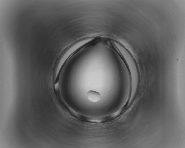 X0000110940201200906191237