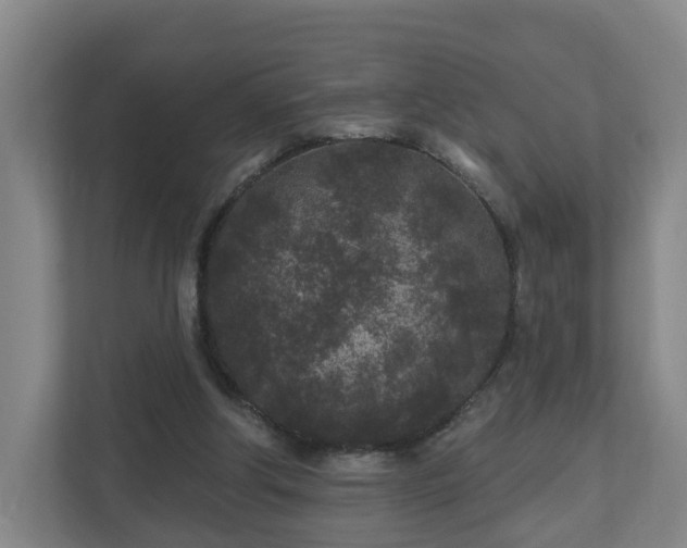 X0000110940202200906191237