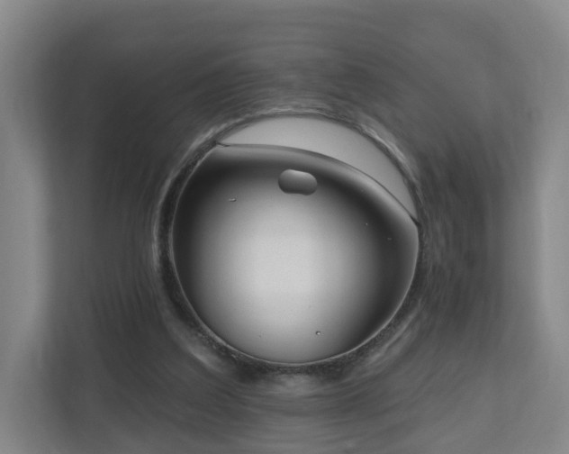 X0000110940203200906191237