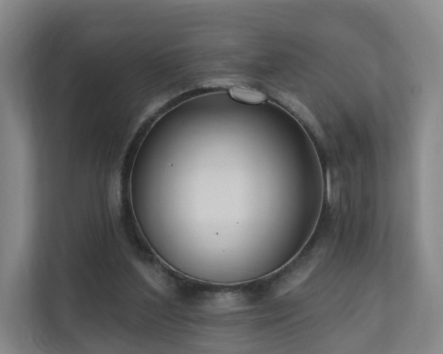 X0000110940204200906191237