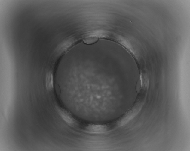 X0000110940205200906191237