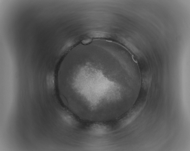 X0000110940207200906191237