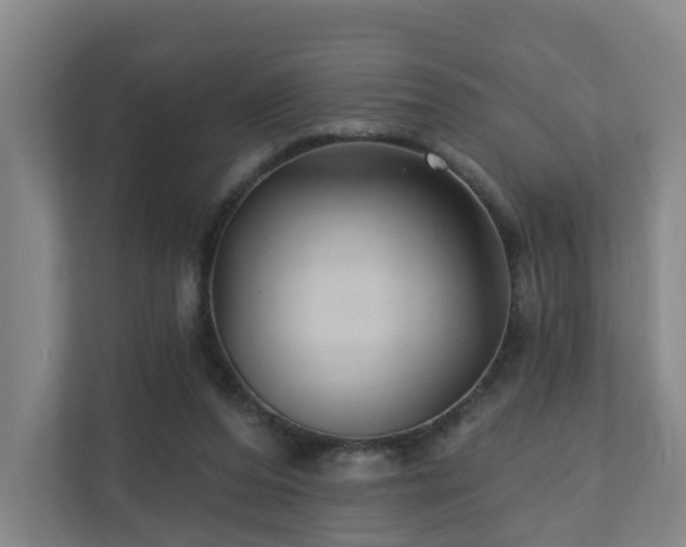 X0000110940208200906191237