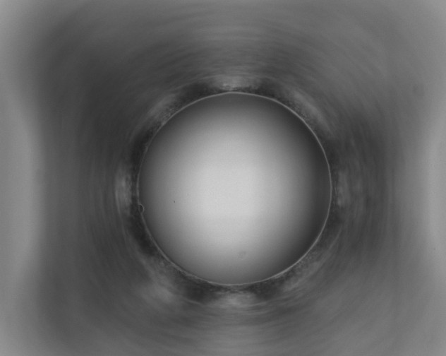 X0000110940210200906191237