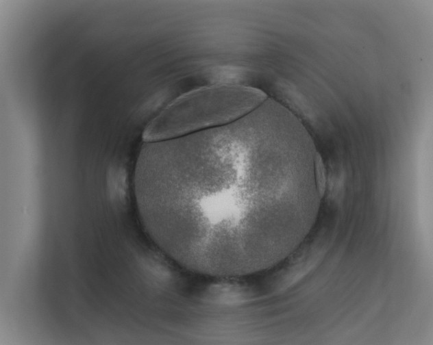 X0000110940211200906191237