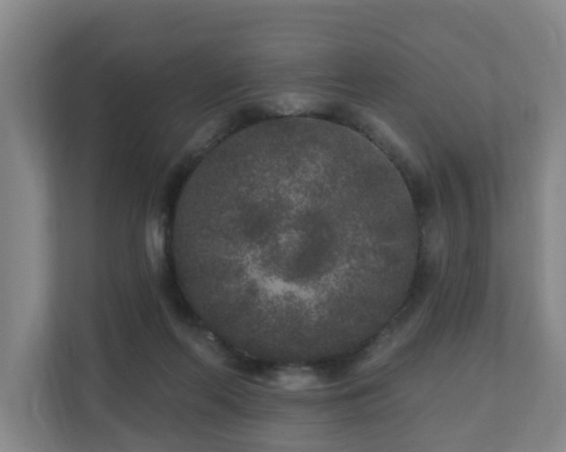 X0000110940214200906191237