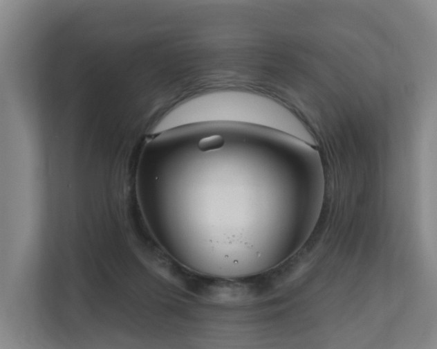 X0000110940215200906191237