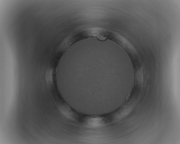 X0000110940217200906191237