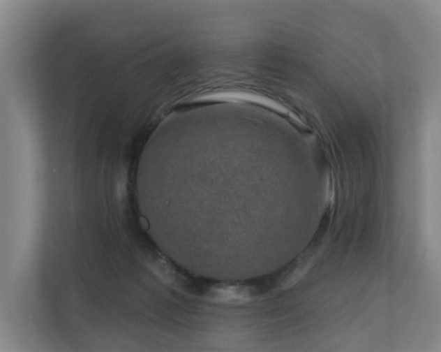 X0000110940221200906191237