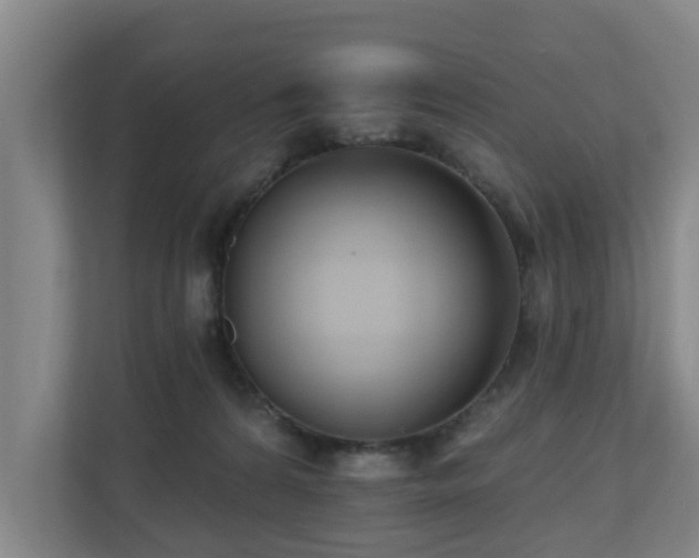 X0000110940224200906191237