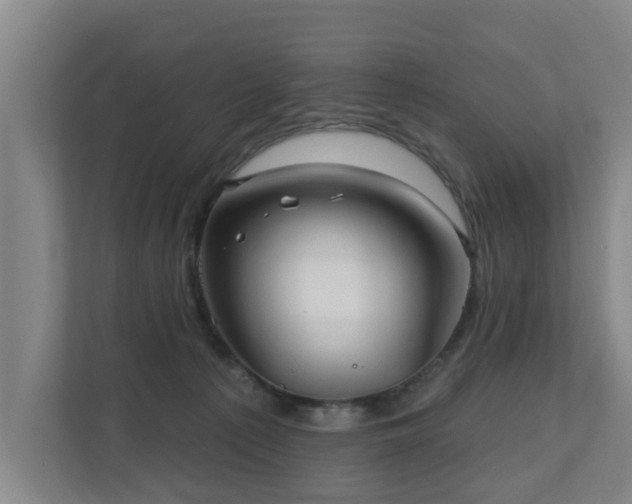 X0000110940225200906191237