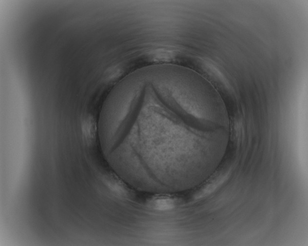 X0000110940228200906191237