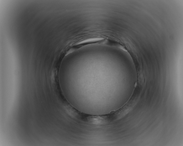 X0000110940229200906191237