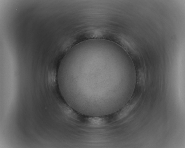 X0000110940230200906191237