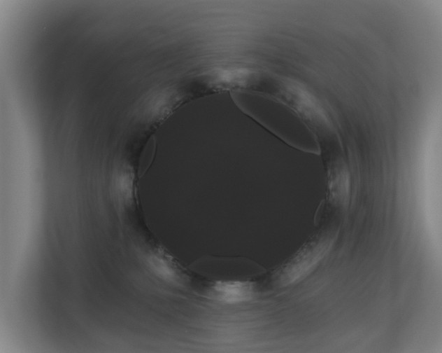 X0000110940231200906191237