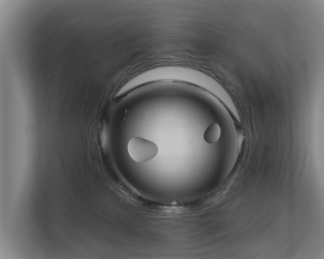 X0000110940233200906191237