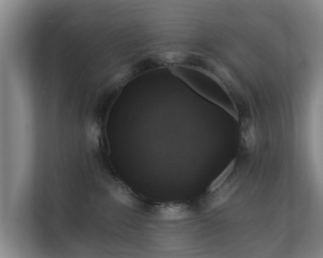 X0000110940235200906191237