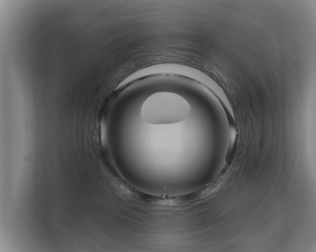 X0000110940237200906191237