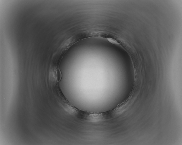 X0000110940240200906191237