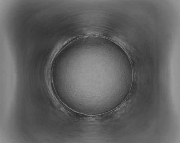 X0000110940241200906191236