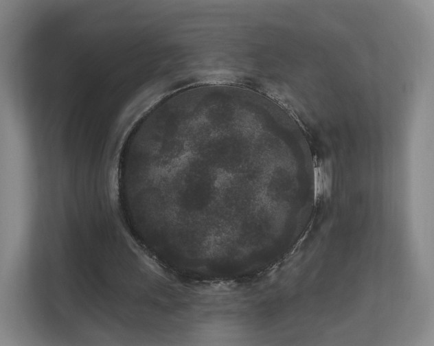 X0000110940243200906191236