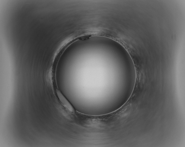 X0000110940244200906191236