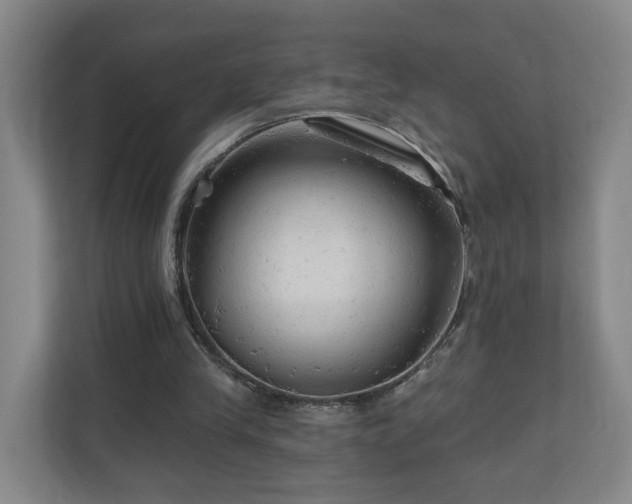 X0000110940245200906191236