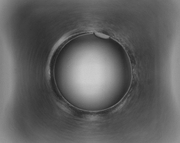 X0000110940246200906191236