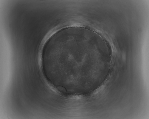 X0000110940247200906191236