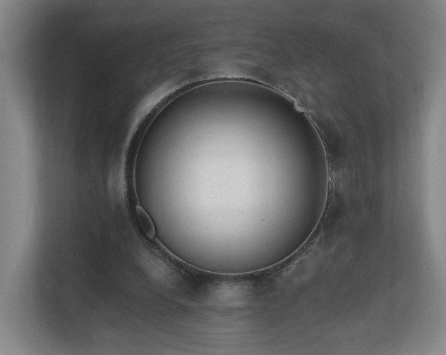 X0000110940248200906191236