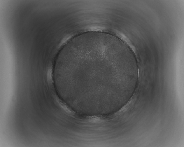 X0000110940249200906191236